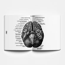 Carica l'immagine nel visualizzatore di Gallery, Enrico Pitozzi/Del tragico acustico