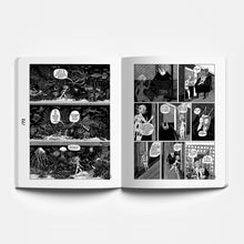 Carica l'immagine nel visualizzatore di Gallery, David B. / Signor Civetta